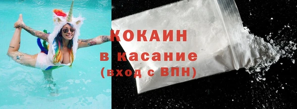 дживик Елабуга
