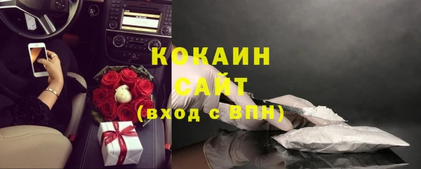 прущие крисы Ельня