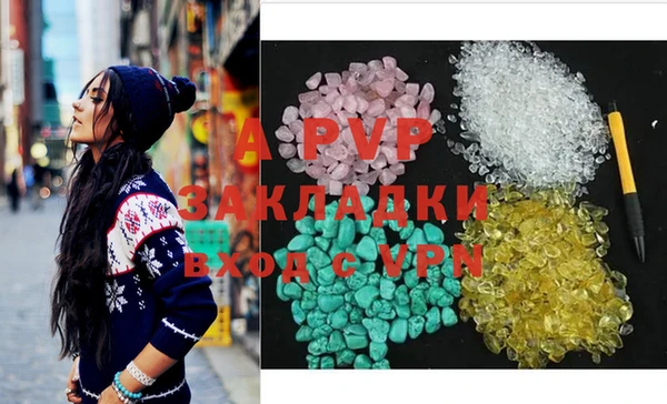 прущие крисы Ельня
