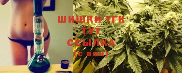 дживик Елабуга