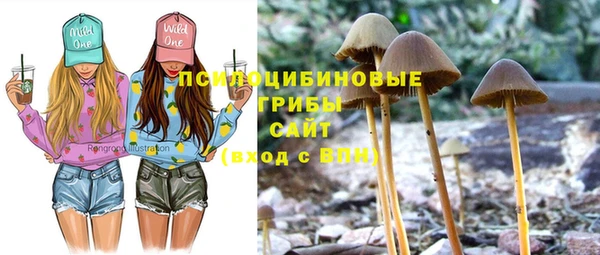 прущие крисы Ельня