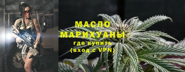 дживик Елабуга
