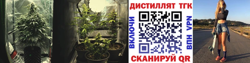 ТГК Wax  блэк спрут зеркало  Заозёрск 