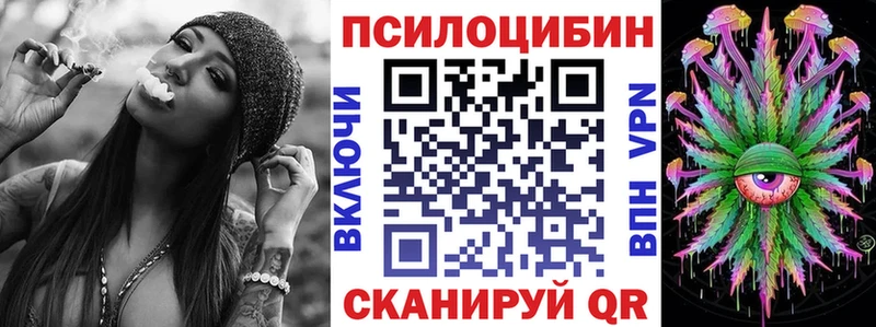 где купить наркоту  shop какой сайт  Галлюциногенные грибы Magic Shrooms  Заозёрск 